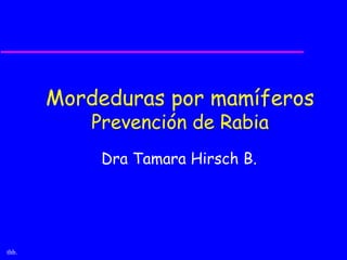 Mordeduras por mamíferos
           Prevención de Rabia
            Dra Tamara Hirsch B.




thb.
 
