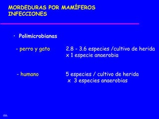 MORDEDURAS POR MAMÍFEROS
       INFECCIONES



        • Polimicrobianas

         - perro y gato     2.8 - 3.6 especies /cultivo de herida
                            x 1 especie anaerobia


         - humano           5 especies / cultivo de herida
                             x 3 especies anaerobias




thb.
 