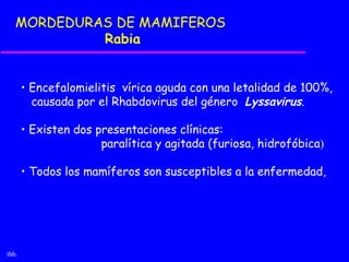 MORDEDURAS DE MAMIFEROS
            Rabia


       • Encefalomielitis vírica aguda con una letalidad de 100%,
         causada por el Rhabdovirus del género Lyssavirus.

       • Existen dos presentaciones clínicas:
                      paralítica y agitada (furiosa, hidrofóbica)

       • Todos los mamíferos son susceptibles a la enfermedad,




thb.
 