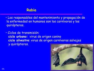 Rabia

       • Los responsables del mantenimiento y propagación de
        la enfermedad en humanos son los carnívoros y los
        quirópteros.

       • Ciclos de transmisión:
         ciclo urbano: virus de origen canino
         ciclo silvestre: virus de origen carnívoros salvajes
         y quirópteros.




thb.
 