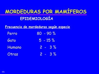 MORDEDURAS POR MAMÍFEROS
                EPIDEMIOLOGÍA

       Frecuencia de mordeduras según especie

        Perro            80 - 90 %
        Gato              5 - 15 %
        Humano             2 - 3%
        Otras              2 - 3%



thb.
 