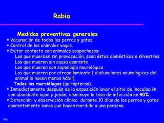 Rabia

       Medidas preventivas generales
  • Vacunación de todos los perros y gatos.
  • Control de los animales vagos.
  • Evitar contacto con animales sospechosos:
      Los que muerden sin provocación, sean éstos domésticos o silvestres
      Los que mueren sin causa aparente
      Los que mueren con signología neurológica
      Los que mueren por atropellamiento ( disfunciones neurológicas del
      animal lo hacen menos hábil)
     Todos los murciélagos (quirópteros).
  • Inmediatamente después de la exposición lavar el sitio de inoculación
   con abundante agua y jabón; disminuye la tasa de infección en 90%.
  • Detención y observación clínica durante 10 días de los perros y gatos
   aparentemente sanos que hayan mordido a una persona.

thb.
 