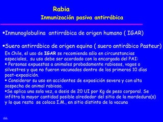 Rabia
                  Inmunización pasiva antirrábica

•Inmunoglobulina antirrábica de origen humano ( IGAR)

•Suero antirrábico de origen equino ( suero antirábico Pasteur)
 En Chile, el uso de IGAR se recomienda sólo en circunstancias
 especiales, su uso debe ser acordado con la encargada del PAI:
 • Personas expuestas a animales probadamente rabiosos, vagos o
 silvestres y que no fueron vacunados dentro de los primeros 10 días
 post-exposición.
 • Considerar su uso en accidentes de exposición severa y con alta
 sospecha de animal rabioso.
 •Se aplica una sola vez, a dosis de 20 UI por Kg de peso corporal. Se
 infiltra la mayor cantidad posible alrededor del sitio de la mordedura(s)
 y lo que resta se coloca I.M., en sitio distinto de la vacuna


thb.
 