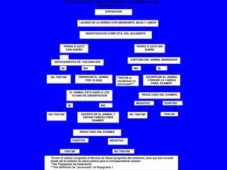 PROCEDIMIENTO POST-EXPOSICION A MORDEDURA DE
                           PERRO O GATO
                                          EXPOSICIÓN



                       LAVADO DE LA HERIDA CON ABUNDANTE AGUA Y JABON



                              INVESTIGACION COMPLETA DEL ACCIDENTE



          PERRO O GATO                                             PERRO O GATO SIN
           CON DUEÑO                                                   DUEÑO


                                                              CAPTURA DEL ANIMAL MORDEDOR
   ANTECEDENTES DE VACUNACION

         SI               NO                                    NO                 SI

 NO TRATAR            OBSERVAR EL ANIMAL            TRATAR si            SACRIFICAR EL ANIMAL
                          POR 10 DIAS               mordedura no          Y ENVIAR LA CABEZA
                                                    provocada***             PARA EXAMEN*


               EL ANIMAL ESTA SANO A LOS
                10 DIAS DE OBSERVACION                                 RESULTADO DEL EXAMEN


                                                                   NEGATIVO             POSITIVO
              SI                       NO

NO TRATAR               SACRIFICAR EL ANIMAL Y               NO TRATAR                  TRATAR
                         ENVIAR CABEZA PARA
                               EXAMEN*



                       RESULTADO DEL EXAMEN


                   POSITIVO                   NEGATIVO



           TRATAR                                NO TRATAR

 *Enviar la cabeza congelada al Servicio de Salud (programa del ambiente), para que sea enviada
 desde alli al instituto de salud publica para el correspondiente examen
 **Ver Flujograma de tratamiento                                                        1
 ***Ver definición de “provocado” en flujograma 1
 