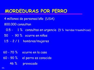 MORDEDURAS POR PERRO
   4 millones de personas/año (USA)
   800.000 consultan
       0.5 -    1 % consultas en urgencia (5 % heridas traumáticas)
   50      - 90 % ocurre en niños
   1.5 - 2 / 1     hombres/mujeres


 60 - 70 %         ocurre en la casa
 60 - 90 %         el perro es conocido
         46 %      provocado
thb.
 