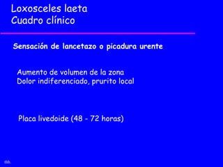 Loxosceles laeta
   Cuadro clínico

       Sensación de lancetazo o picadura urente


        Aumento de volumen de la zona
        Dolor indiferenciado, prurito local




        Placa livedoide (48 - 72 horas)




thb.
 