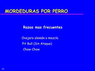 MORDEDURAS POR PERRO


            Razas mas frecuentes

            Ovejero alemán o mezcla
            Pit Bull (Sin Ataque)
            Chow-Chow




thb.
 