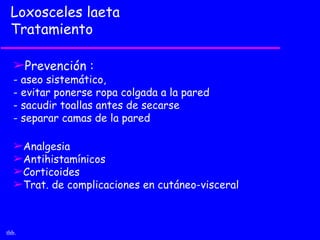 Loxosceles laeta
 Tratamiento

  ­Prevención :
  - aseo sistemático,
  - evitar ponerse ropa colgada a la pared
  - sacudir toallas antes de secarse
  - separar camas de la pared

  ­Analgesia
  ­Antihistamínicos
  ­Corticoides
  ­Trat. de complicaciones en cutáneo-visceral



thb.
 