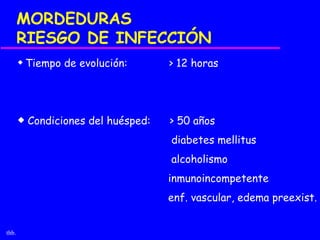 MORDEDURAS
       RIESGO DE INFECCIÓN
       x   Tiempo de evolución:       > 12 horas




       x   Condiciones del huésped:   > 50 años
                                      diabetes mellitus
                                      alcoholismo
                                      inmunoincompetente
                                      enf. vascular, edema preexist.


thb.
 