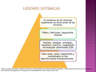 Tomás A. Orduna, De roodt A, Salomón O, Lloveras S. Envenenamiento por arañas del genero Loxosceles. Instituto Nacional de Producción de Biológicos.
Centro Nacional de Diagnóstico e Investigación en Endemoepidemias. Muñiz, Buenos Aires. 2012.
 