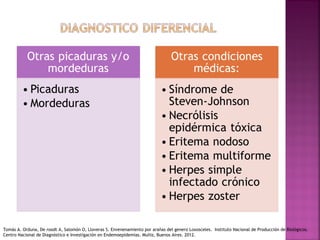Tomás A. Orduna, De roodt A, Salomón O, Lloveras S. Envenenamiento por arañas del genero Loxosceles. Instituto Nacional de Producción de Biológicos.
Centro Nacional de Diagnóstico e Investigación en Endemoepidemias. Muñiz, Buenos Aires. 2012.
 