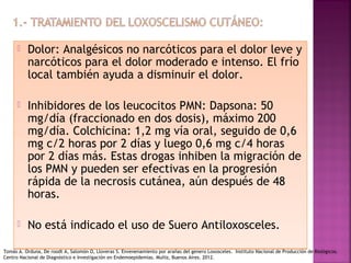  Dolor: Analgésicos no narcóticos para el dolor leve y
narcóticos para el dolor moderado e intenso. El frío
local también ayuda a disminuir el dolor.
 Inhibidores de los leucocitos PMN: Dapsona: 50
mg/día (fraccionado en dos dosis), máximo 200
mg/día. Colchicina: 1,2 mg vía oral, seguido de 0,6
mg c/2 horas por 2 días y luego 0,6 mg c/4 horas
por 2 días más. Estas drogas inhiben la migración de
los PMN y pueden ser efectivas en la progresión
rápida de la necrosis cutánea, aún después de 48
horas.
 No está indicado el uso de Suero Antiloxosceles.
 Dolor: Analgésicos no narcóticos para el dolor leve y
narcóticos para el dolor moderado e intenso. El frío
local también ayuda a disminuir el dolor.
 Inhibidores de los leucocitos PMN: Dapsona: 50
mg/día (fraccionado en dos dosis), máximo 200
mg/día. Colchicina: 1,2 mg vía oral, seguido de 0,6
mg c/2 horas por 2 días y luego 0,6 mg c/4 horas
por 2 días más. Estas drogas inhiben la migración de
los PMN y pueden ser efectivas en la progresión
rápida de la necrosis cutánea, aún después de 48
horas.
 No está indicado el uso de Suero Antiloxosceles.
Tomás A. Orduna, De roodt A, Salomón O, Lloveras S. Envenenamiento por arañas del genero Loxosceles. Instituto Nacional de Producción de Biológicos.
Centro Nacional de Diagnóstico e Investigación en Endemoepidemias. Muñiz, Buenos Aires. 2012.
 