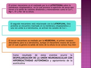 Como resultado de estos eventos ocurre la
DESPOLARIZACIÓN DE LA UNIÓN NEUROMUSCULAR CON
HIPERREACTIVIDAD AUTONÓMICA y agotamiento de la
acetilcolina
Como resultado de estos eventos ocurre la
DESPOLARIZACIÓN DE LA UNIÓN NEUROMUSCULAR CON
HIPERREACTIVIDAD AUTONÓMICA y agotamiento de la
acetilcolina
 