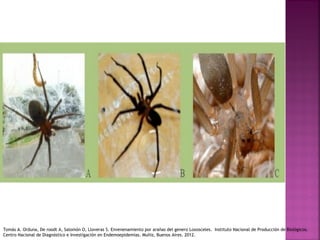 Tomás A. Orduna, De roodt A, Salomón O, Lloveras S. Envenenamiento por arañas del genero Loxosceles. Instituto Nacional de Producción de Biológicos.
Centro Nacional de Diagnóstico e Investigación en Endemoepidemias. Muñiz, Buenos Aires. 2012.
 