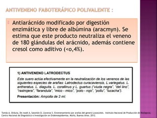  Antiarácnido modificado por digestión
enzimática y libre de albúmina (aracmyn). Se
estima que este producto neutraliza el veneno
de 180 glándulas del arácnido, además contiene
cresol como aditivo (<o,4%).
 Antiarácnido modificado por digestión
enzimática y libre de albúmina (aracmyn). Se
estima que este producto neutraliza el veneno
de 180 glándulas del arácnido, además contiene
cresol como aditivo (<o,4%).
Tomás A. Orduna, De roodt A, Salomón O, Lloveras S. Envenenamiento por arañas del genero Loxosceles. Instituto Nacional de Producción de Biológicos.
Centro Nacional de Diagnóstico e Investigación en Endemoepidemias. Muñiz, Buenos Aires. 2012.
 