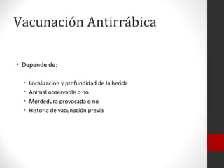 Vacunación Antirrábica

• Depende de:

  •   Localización y profundidad de la herida
  •   Animal observable o no
  •   Mordedura provocada o no
  •   Historia de vacunación previa
 