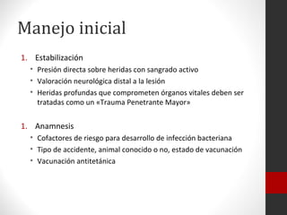 Manejo inicial
1. Estabilización
  • Presión directa sobre heridas con sangrado activo
  • Valoración neurológica distal a la lesión
  • Heridas profundas que comprometen órganos vitales deben ser
    tratadas como un «Trauma Penetrante Mayor»


1. Anamnesis
  • Cofactores de riesgo para desarrollo de infección bacteriana
  • Tipo de accidente, animal conocido o no, estado de vacunación
  • Vacunación antitetánica
 