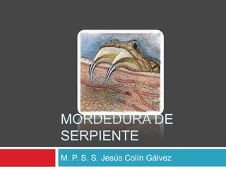 MORDEDURA DE
SERPIENTE
M. P. S. S. Jesús Colín Gálvez
 