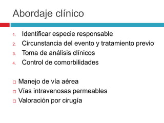 Abordaje clínico
1. Identificar especie responsable
2. Circunstancia del evento y tratamiento previo
3. Toma de análisis clínicos
4. Control de comorbilidades
 Manejo de vía aérea
 Vías intravenosas permeables
 Valoración por cirugía
 
