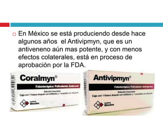  En México se está produciendo desde hace
algunos años el Antivipmyn, que es un
antiveneno aún mas potente, y con menos
efectos colaterales, está en proceso de
aprobación por la FDA.
 