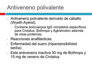 Antiveneno polivalente
• Antiveneno polivalente derivado de caballo
(Wyeth-Ayerst).
– Contiene anticuerpos IgG completos específicos
para Crotalus, Bothrops y Agkistrodon además
de otras proteínas.
• Reacciones anafilácticas.
• Enfermedad del suero (hipersensibilidad
tardía).
• Este antiveneno inactiva 30 mg de Bothrops y
15 mg de veneno de Crotalus.
 