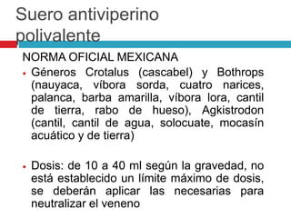 Suero antiviperino
polivalente
NORMA OFICIAL MEXICANA
 Géneros Crotalus (cascabel) y Bothrops
(nauyaca, víbora sorda, cuatro narices,
palanca, barba amarilla, víbora lora, cantil
de tierra, rabo de hueso), Agkistrodon
(cantil, cantil de agua, solocuate, mocasín
acuático y de tierra)
 Dosis: de 10 a 40 ml según la gravedad, no
está establecido un límite máximo de dosis,
se deberán aplicar las necesarias para
neutralizar el veneno
 