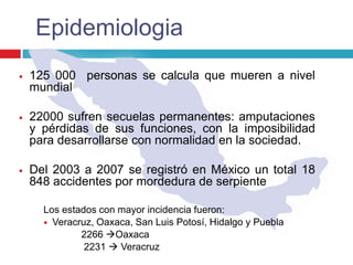 Epidemiologia
 125 000 personas se calcula que mueren a nivel
mundial
 22000 sufren secuelas permanentes: amputaciones
y pérdidas de sus funciones, con la imposibilidad
para desarrollarse con normalidad en la sociedad.
 Del 2003 a 2007 se registró en México un total 18
848 accidentes por mordedura de serpiente
Los estados con mayor incidencia fueron:
 Veracruz, Oaxaca, San Luis Potosí, Hidalgo y Puebla
2266 Oaxaca
2231  Veracruz
 