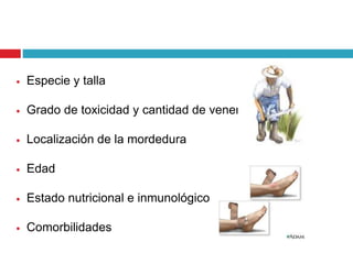  Especie y talla
 Grado de toxicidad y cantidad de veneno
 Localización de la mordedura
 Edad
 Estado nutricional e inmunológico
 Comorbilidades
 