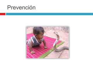Prevención
 
