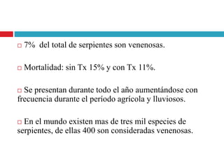  7% del total de serpientes son venenosas.
 Mortalidad: sin Tx 15% y con Tx 11%.
 Se presentan durante todo el año aumentándose con
frecuencia durante el período agrícola y lluviosos.
 En el mundo existen mas de tres mil especies de
serpientes, de ellas 400 son consideradas venenosas.
 