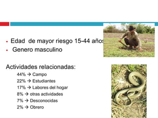  Edad de mayor riesgo 15-44 años
 Genero masculino
Actividades relacionadas:
44%  Campo
22%  Estudiantes
17%  Labores del hogar
8%  otras actividades
7%  Desconocidas
2%  Obrero
 