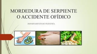 MORDEDURA DE SERPIENTE
O ACCIDENTE OFÍDICO
DEPARTAMENTO DE PEDIATRÍA
 