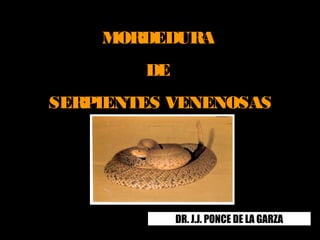 MORDEDURA
DE
SERPIENTES VENENOSAS
DR. J.J. PONCE DE LA GARZA
 