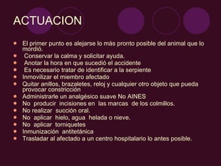 ACTUACION El primer punto es alejarse lo más pronto posible del animal que lo mordió.    Conservar la calma y solicitar ayuda.   Anotar la hora en que sucedió el accidente    Es necesario tratar de identificar a la serpiente  Inmovilizar el miembro afectado Quitar anillos, brazaletes, reloj y cualquier otro objeto que pueda provocar constricción Administrarle un analgésico suave No AINES No  producir  incisiones en  las marcas  de los colmillos. No realizar  succión oral. No  aplicar  hielo, agua  helada o nieve. No  aplicar  torniquetes Inmunización  antitetánica Trasladar al afectado a un centro hospitalario lo antes posible. 