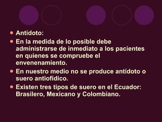Antídoto: En la medida de lo posible debe administrarse de inmediato a los pacientes en quienes se compruebe el envenenamiento. En nuestro medio no se produce antídoto o suero antiofídico. Existen tres tipos de suero en el Ecuador: Brasilero, Mexicano y Colombiano. 