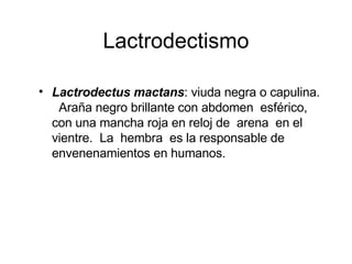 Lactrodectismo ,[object Object]