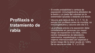 Mordeduras de animales.pptx