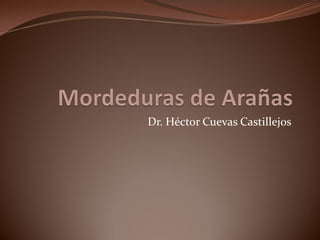 Dr. Héctor Cuevas Castillejos
 