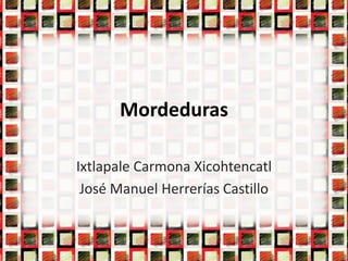 Mordeduras

Ixtlapale Carmona Xicohtencatl
 José Manuel Herrerías Castillo
 
