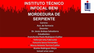 MORDEDURA DE
SERPIENTE
INSTITUTO TÉCNICO
INFOCAL BENI
 