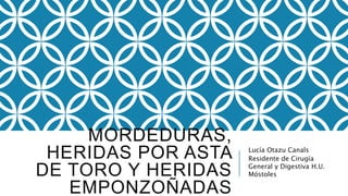 MORDEDURAS,
HERIDAS POR ASTA
DE TORO Y HERIDAS
EMPONZOÑADAS
Lucía Otazu Canals
Residente de Cirugía
General y Digestiva H.U.
Móstoles
 