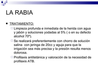 LA RABIA TRATAMIENTO: Limpieza profunda e inmediata de la herida con agua y jabón y soluciones yodadas al 5% ( o en su defecto alcohol 70º). Se realizará preferentemente con chorro de solución salina  con jeringa de 20cc y aguja para que la irrigación sea más precisa y la presión resulta menos dolorosa. Profilaxis antitetánica y valoración de la necesidad de profilaxis ATB. 