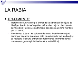 LA RABIA TRATAMIENTO: Tratamiento Antirrábico ( el primer tto se administró 6de julio de 1885 por los doctores Vapulian y Grancher bajo la dirección del químico Luis Pasteur, se administró con éxito a un niño mordido por un perro.) No se debe suturar. Se suturará de forma diferida o se dejará cerrar por segunda intención, esto va a depender del médico ( si se realizara la sutura primaria se recomienda infiltrar la herida con suero o gammaglobulina humana antirrábica). 