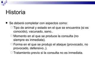 Historia Se deberá completar con aspectos como: Tipo de animal y estado en el que se encuentra (si es conocido), vacunado, sano.. Momento en el que se produce la consulta (no siempre es inmediata). Forma en el que se produjo el ataque (provocado, no provocado, defensivo..). Tratamiento previo si la consulta no es inmediata. 
