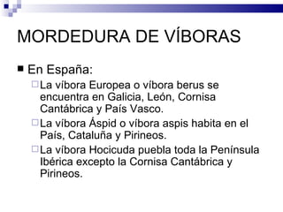 MORDEDURA DE VÍBORAS En España:  La víbora Europea o víbora berus se encuentra en Galicia, León, Cornisa Cantábrica y País Vasco. La víbora Áspid o víbora aspis habita en el País, Cataluña y Pirineos. La víbora Hocicuda puebla toda la Península Ibérica excepto la Cornisa Cantábrica y Pirineos. 