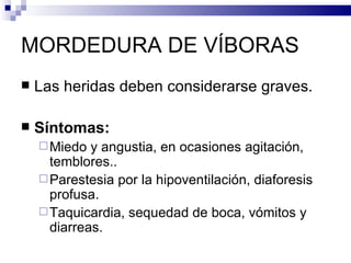MORDEDURA DE VÍBORAS Las heridas deben considerarse graves. Síntomas: Miedo y angustia, en ocasiones agitación, temblores.. Parestesia por la hipoventilación, diaforesis profusa. Taquicardia, sequedad de boca, vómitos y diarreas. 
