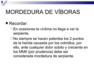 MORDEDURA DE VÍBORAS Recordar: En ocasiones la víctima no llega a ver la serpiente. No siempre se hacen patentes los 2 puntos de la herida causada por los colmillos, por ello, ante cualquier dolor súbito y creciente en los MMII (por prudencia) debe ser considerada mordedura de serpiente. 