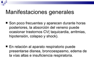 Manifestaciones generales Son poco frecuentes y aparecen durante horas posteriores, la absorción del veneno puede ocasionar trastornos CV( taquicardia, arritmias, hipotensión, colapso y shock). En relación al aparato respiratorio puede presentarse disnea, broncoespasmo, edema de la vías altas e insuficiencia respiratoria. 