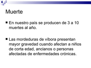 Muerte En nuestro país se producen de 3 a 10 muertes al año. Las mordeduras de víbora presentan mayor gravedad cuando afectan a niños de corta edad, ancianos o personas afectadas de enfermedades crónicas. 