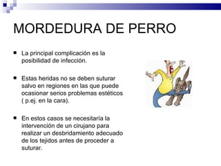 MORDEDURA DE PERRO La principal complicación es la posibilidad de infección. Estas heridas no se deben suturar salvo en regiones en las que puede ocasionar serios problemas estéticos ( p.ej. en la cara). En estos casos se necesitaría la intervención de un cirujano para realizar un desbridamiento adecuado de los tejidos antes de proceder a suturar. 